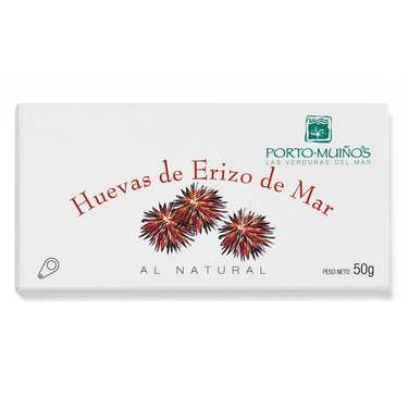 Sea Urchin Coral Sea Urchin Coral