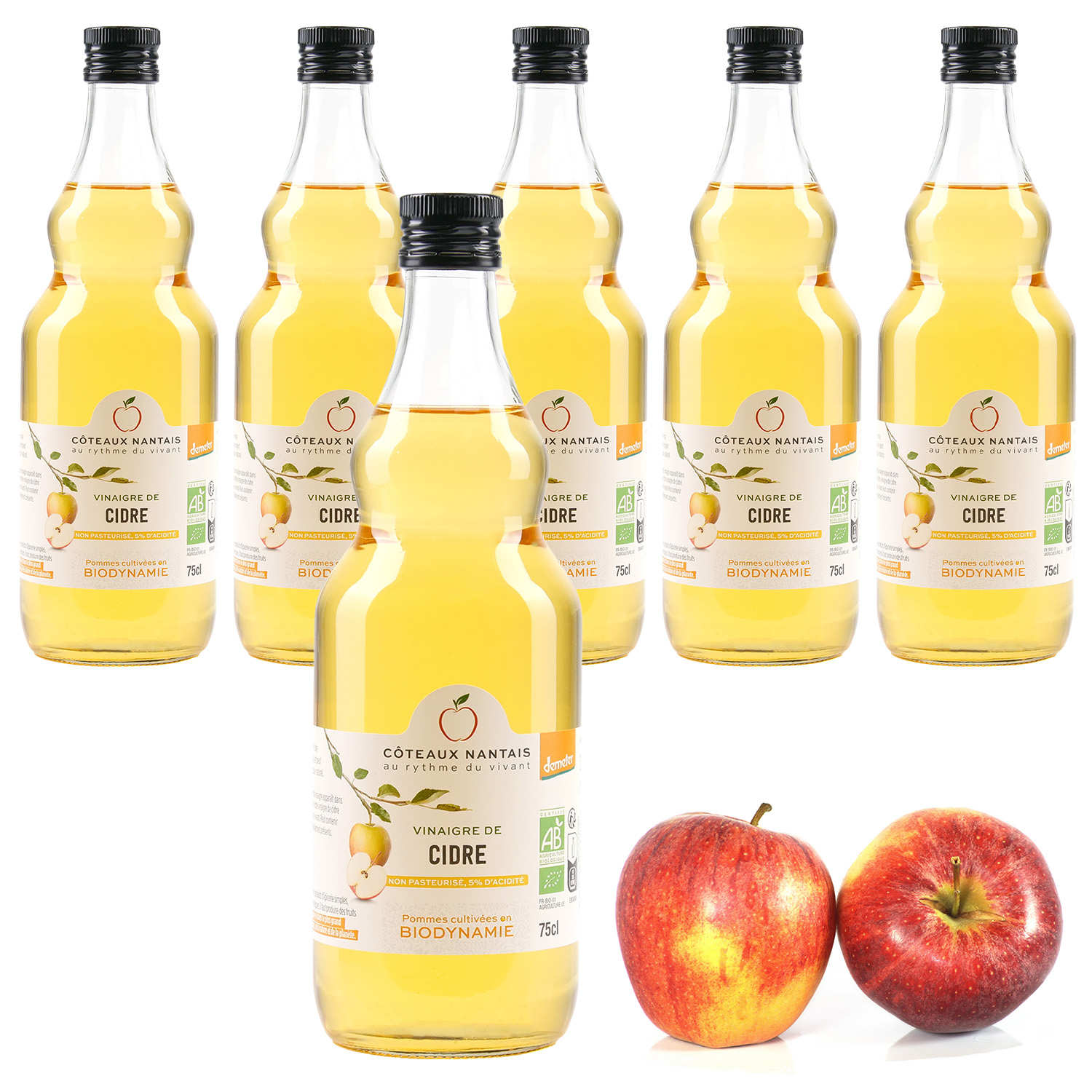 Vinaigre de cidre bio non pasteurisé Offre spéciale 6 bouteilles — free download