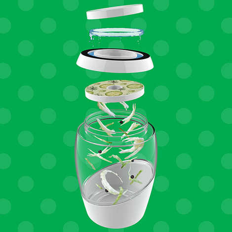 Pilon En Bois Pour Choucroute Et Légumes Fermentés – Manche Ergonomique, Surface Lisse, Facile à Nettoyer