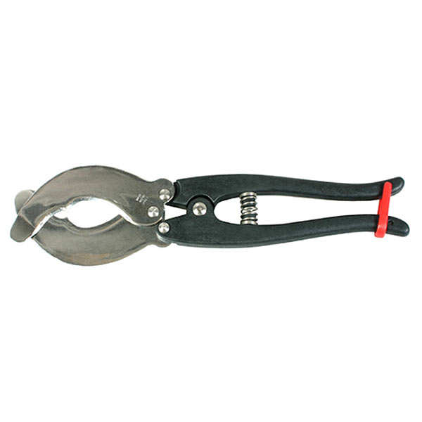 Ouvre-Oursin Professionnel En Acier Inoxydable - Outil De Cuisine Pour Fruits De Mer - Design Crochet Ergonomique