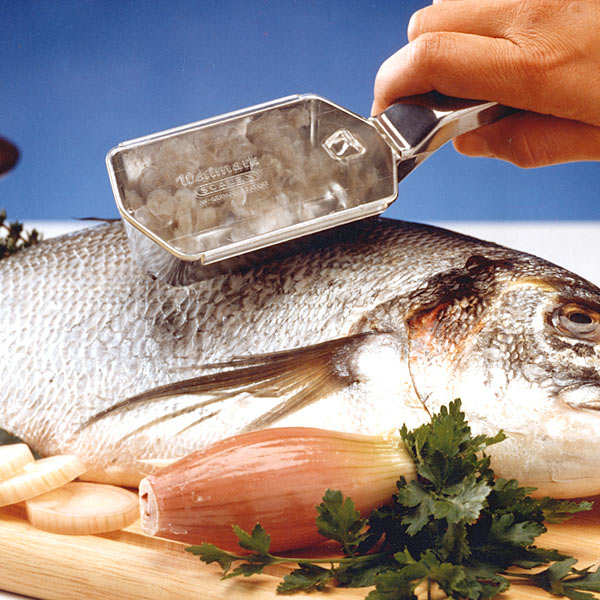 Scalex Fish Scaler Westmark