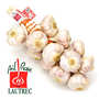 Ail rose de Lautrec en tresse Label Rouge