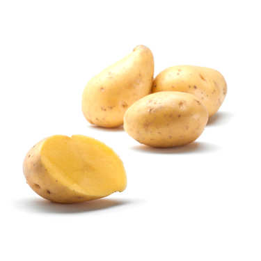 Pommes de terre Andean Sunside Pommes de terre Andean Sunside