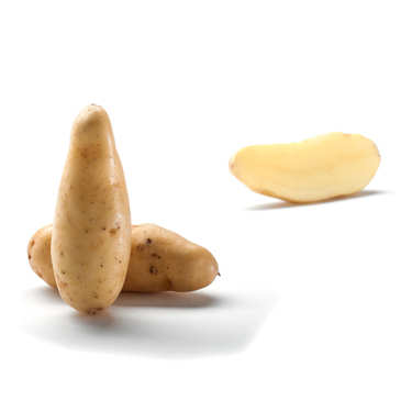 Pommes de terre Mini Ratte du Santerre Pommes de terre Mini Ratte du Santerre