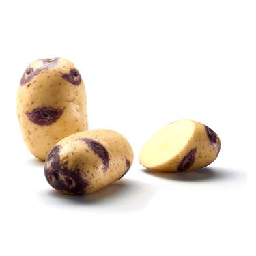 Pommes de terre Blue Belle Pommes de terre Blue Belle
