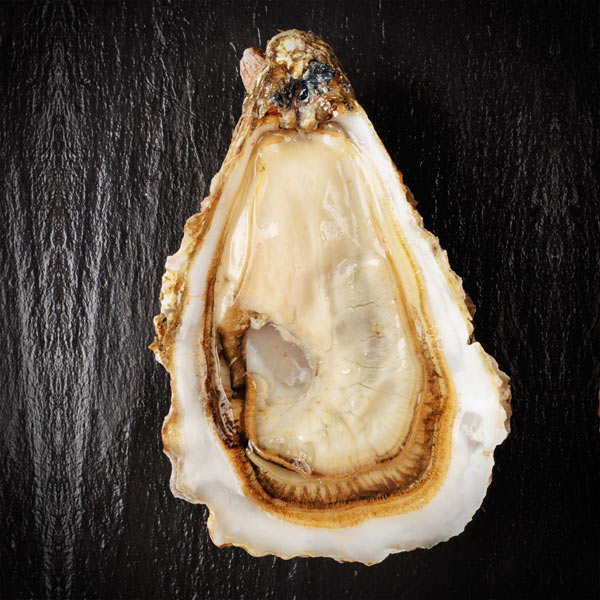Poisson Au Caviar En 7 Lettres Huîtres creuses de Cancale - Les Parcs Saint Kerber
