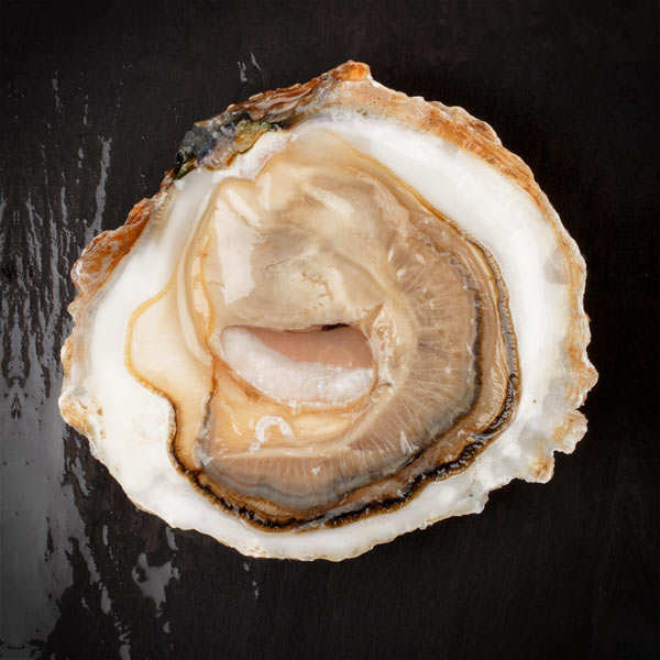 Poisson Au Caviar En 7 Lettres Huîtres plates de Cancale - Belon - Les Parcs Saint Kerber