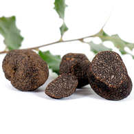 Brisures de truffes noires du Périgord (tuber melanosporum) - Lachaud