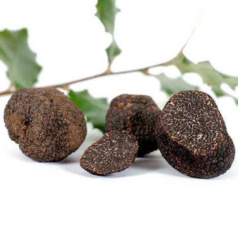 Morceaux de truffes noires fraîches de Lozère - Tuber Melanosporum - Trufficulteurs de Lozère