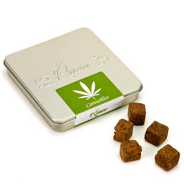 Cannabliss - Raw Chocolate cubes with breton hemp Cannabliss - Raw Chocolate cubes with breton hemp