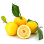 Citron de Menton IGP Bio