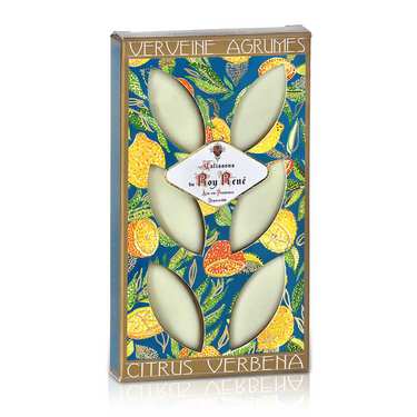 French Calissons d'Aix - Decorated Case Verbena Citrus Fruits French Calissons d'Aix - Decorated Case Verbena Citrus Fruits