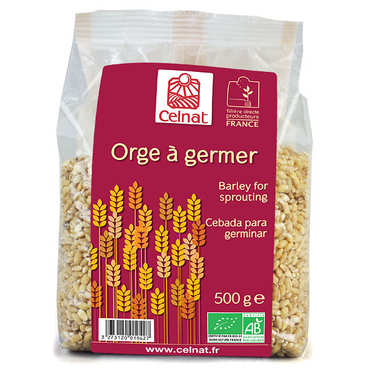 Organic barley for sprouting Organic barley for sprouting