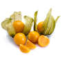 Organic Physalis from Colombia