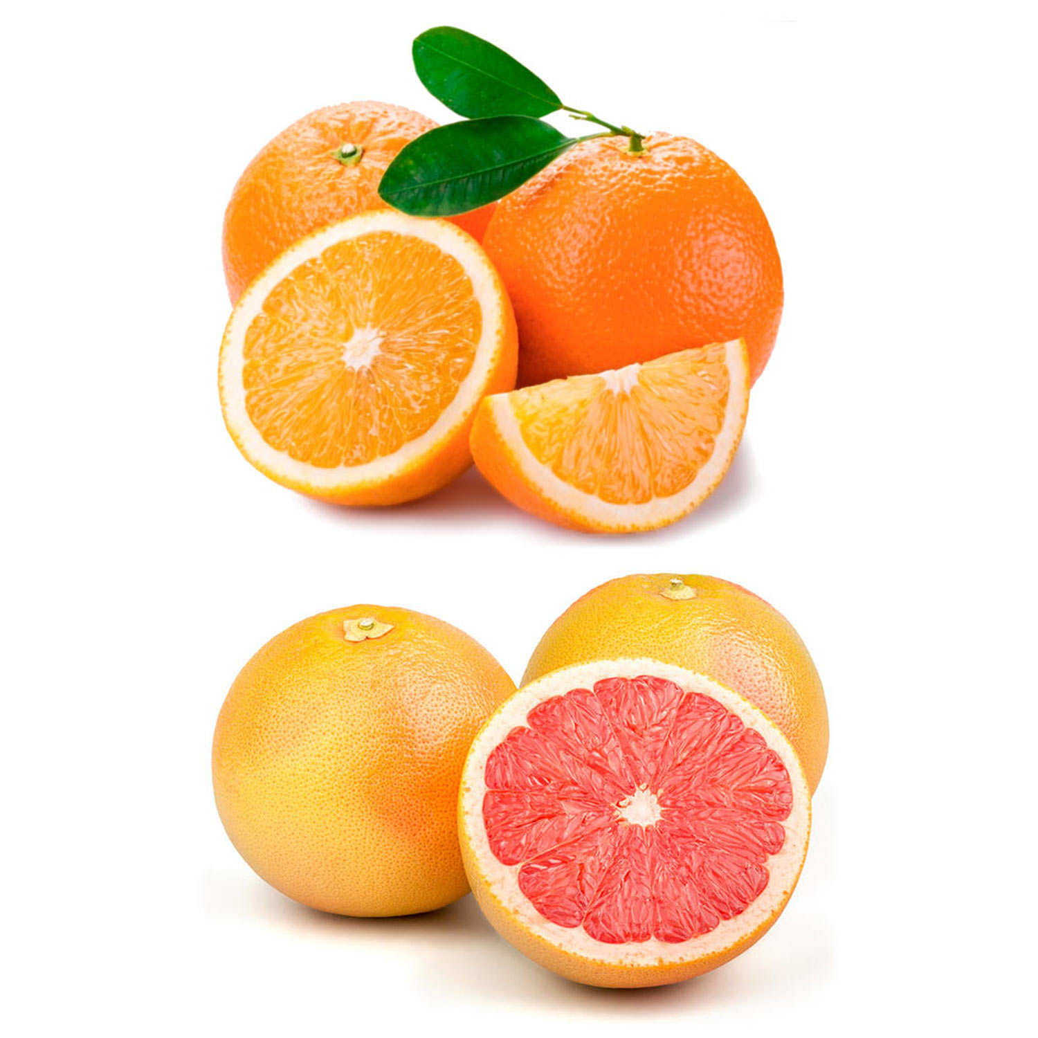 Organic Fresh Oranges and Pomelos Discovery Offer