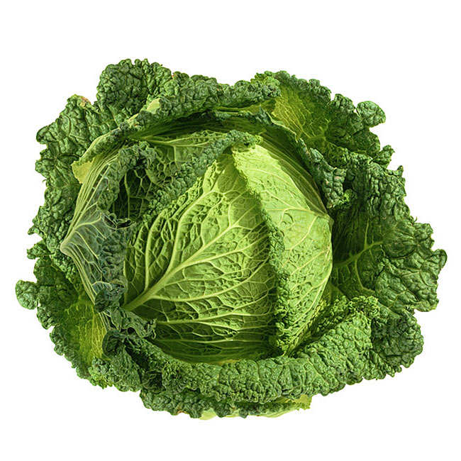 Organic Savoy Cabbage from France