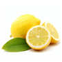 Citrons primofiore de Sicile bio