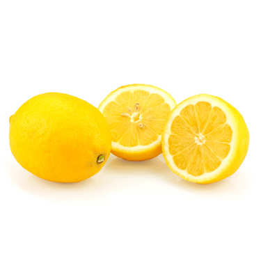 Organic Lemon from Syracuse Organic Lemon from Syracuse
