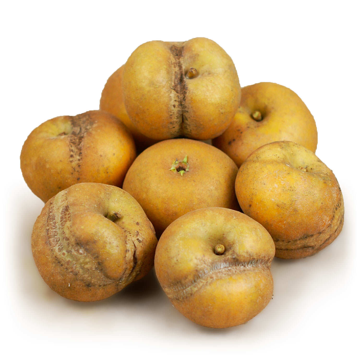 Organic Apples 'Patte de Loup' from Frnace