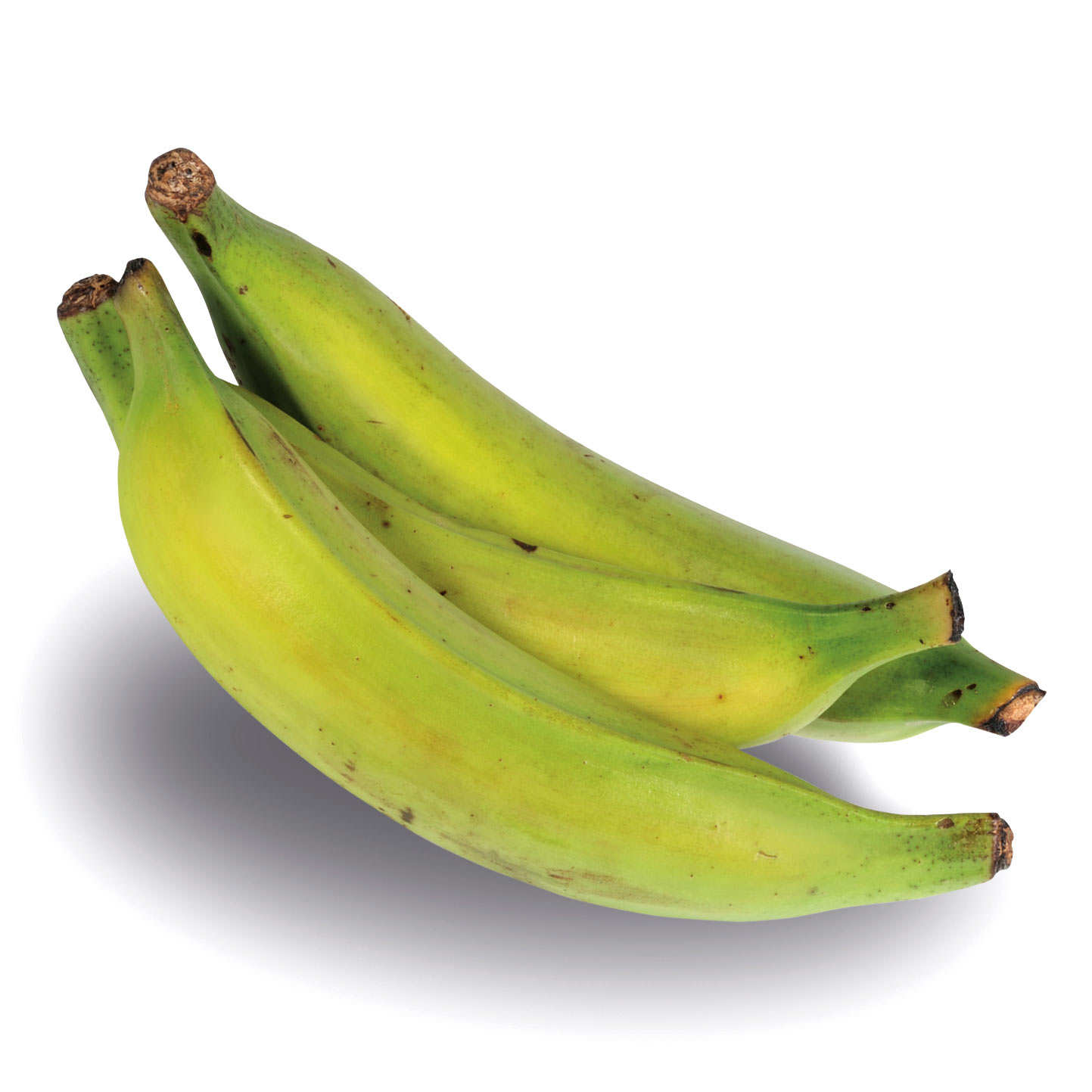 Bananes plantain