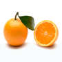 Organic Oranges from Sicily