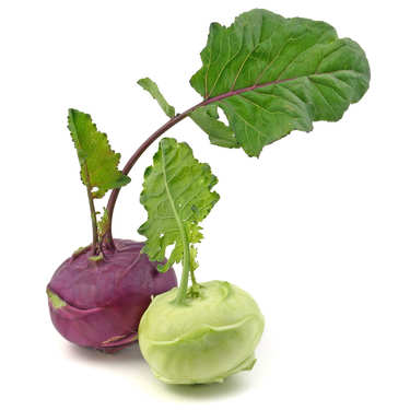 Organic Kohlrabi from France Organic Kohlrabi from France