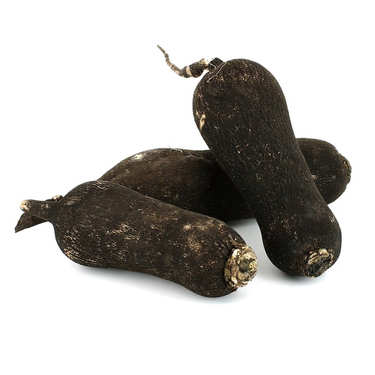 Organic Black Radish from France Organic Black Radish from France
