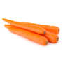 Carottes Chantenay bio