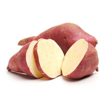 Patate douce blanche 'Murasaki' bio Patate douce blanche 'Murasaki' bio