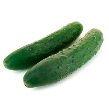 Organic Short Cucumber from France Organic Short Cucumber from France