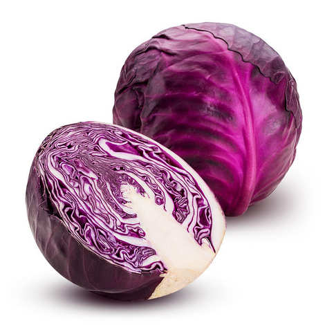 Organic Red Cabbage from France