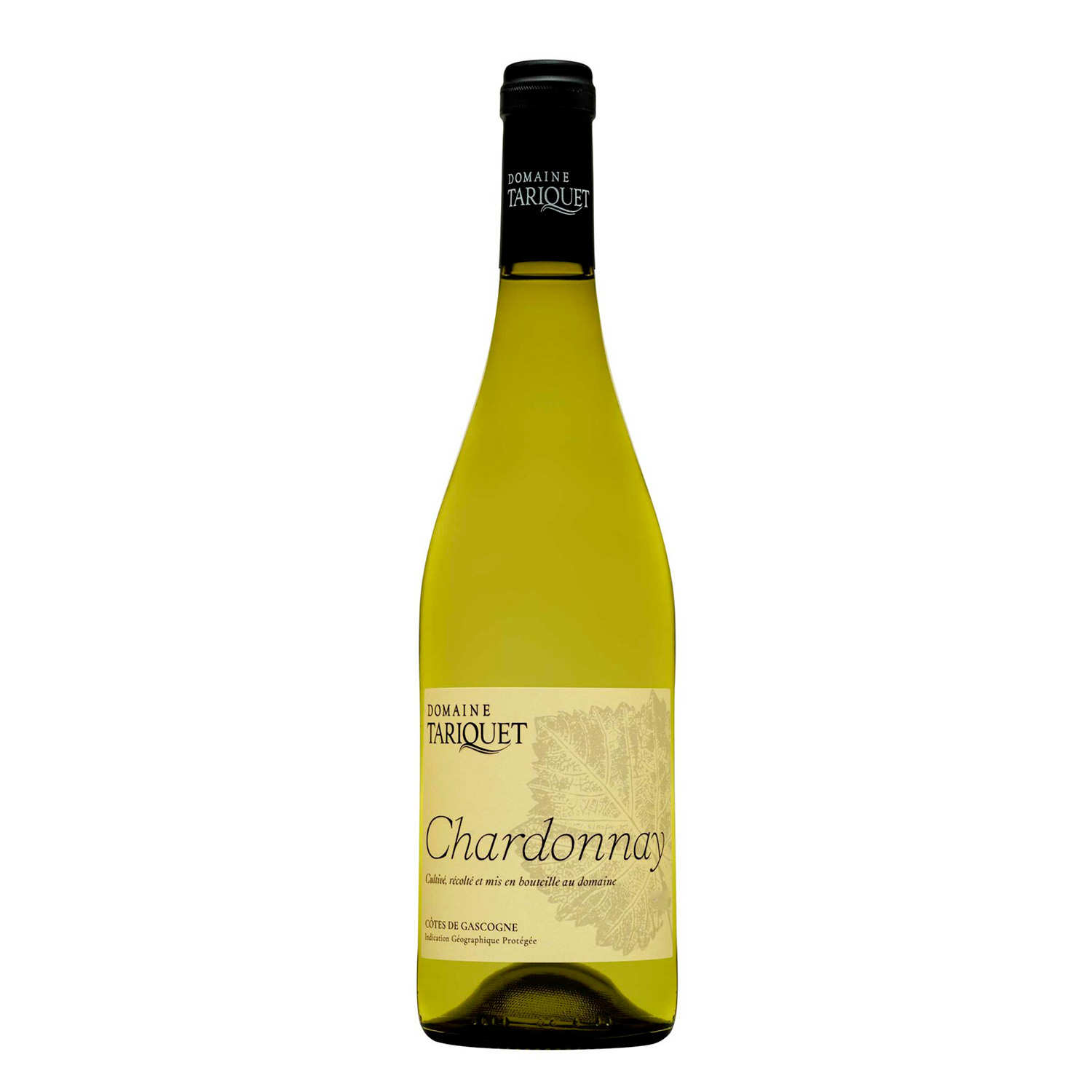 White Wine Chardonnay Tariquet - Domaine Tariquet