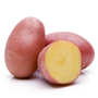 Pomme de terre rouge de France bio