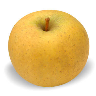 Pommes Chanteclerc de France bio Pommes Chanteclerc de France bio