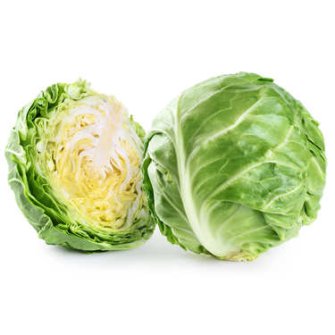 Organic Green Cabbage from France Organic Green Cabbage from France