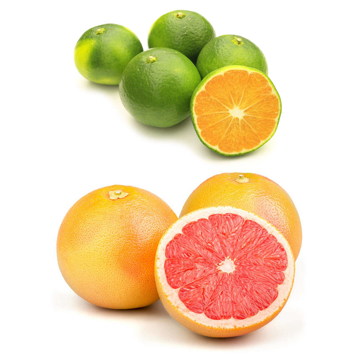 Duo de mandarines et pomelos bio