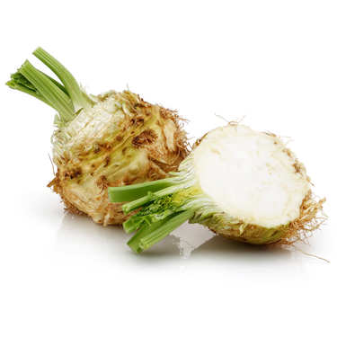 Organic Celeriac from France Organic Celeriac from France
