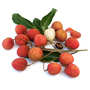 Litchi branche de Madagascar bio