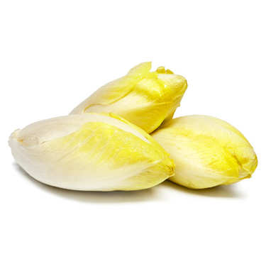 Organic Chicory from France Organic Chicory from France