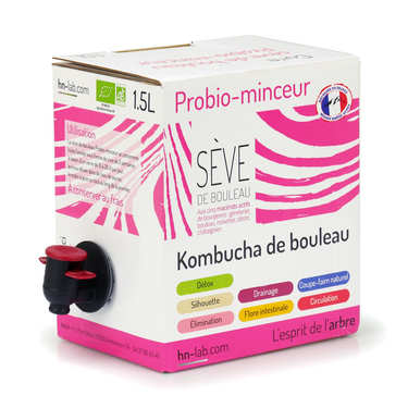 Kombucha de bouleau bio - Minceur Kombucha de bouleau bio - Minceur