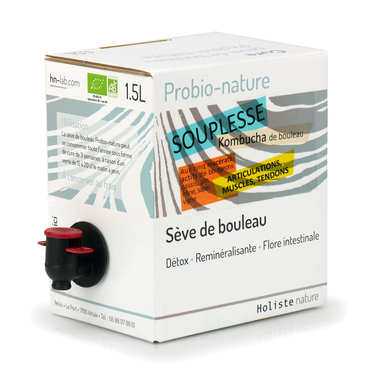 Kombucha de bouleau bio - Souplesse Kombucha de bouleau bio - Souplesse
