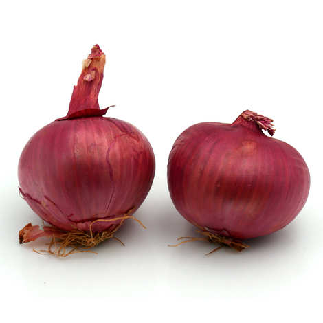 Roscoff Onion Gravy  Taste France Magazine