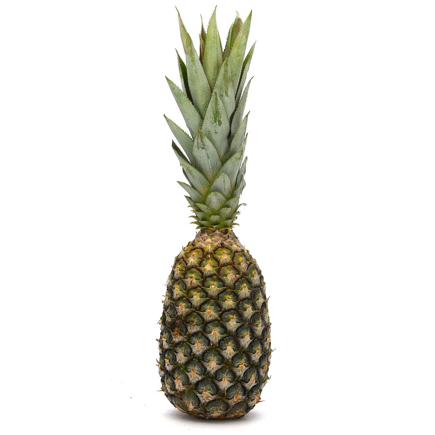 Sugarloaf pineapple from Benin