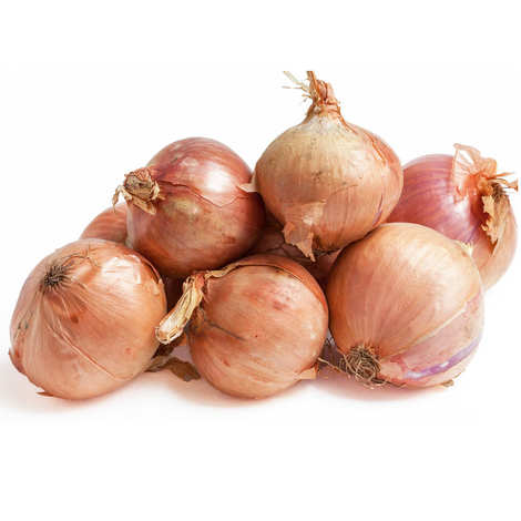Organic pink Onion from France