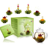 Creano Set cadeau de fleurs de thé dans une boîte à thé en bois, 12 fleurs  de thé dans 6 sortes de thé blanc, cadeau pour femme, mère, amateur de thé