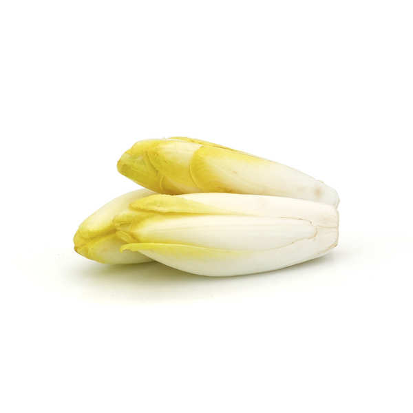 Endivette blanche Witloof de France bio - Le kilo