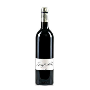 Ampelidae Pinot Noir 1328 Ampelidae Pinot Noir 1328