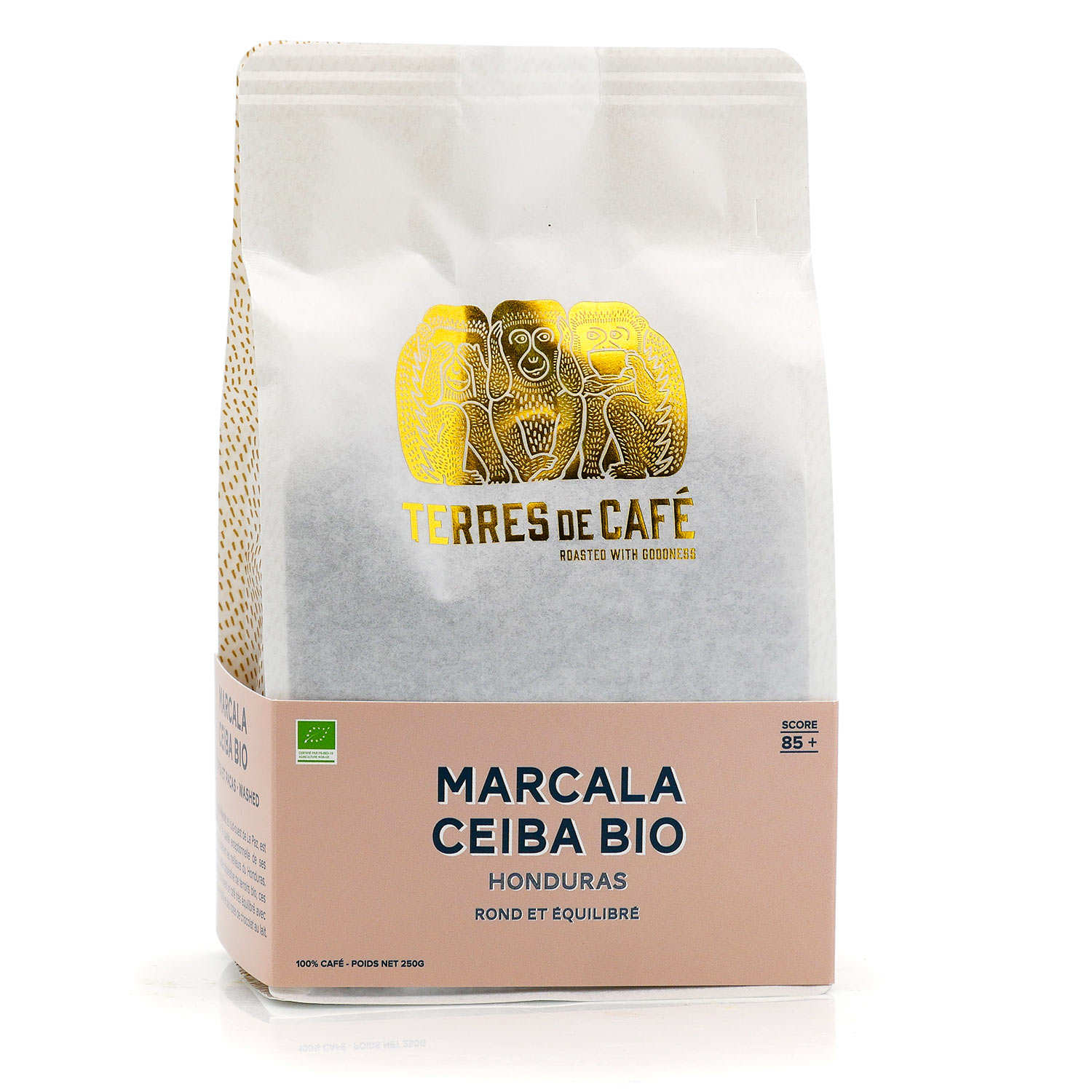 Organic coffee beans Marcala Ceiba - Specialty coffee 85+ - Terres de Café