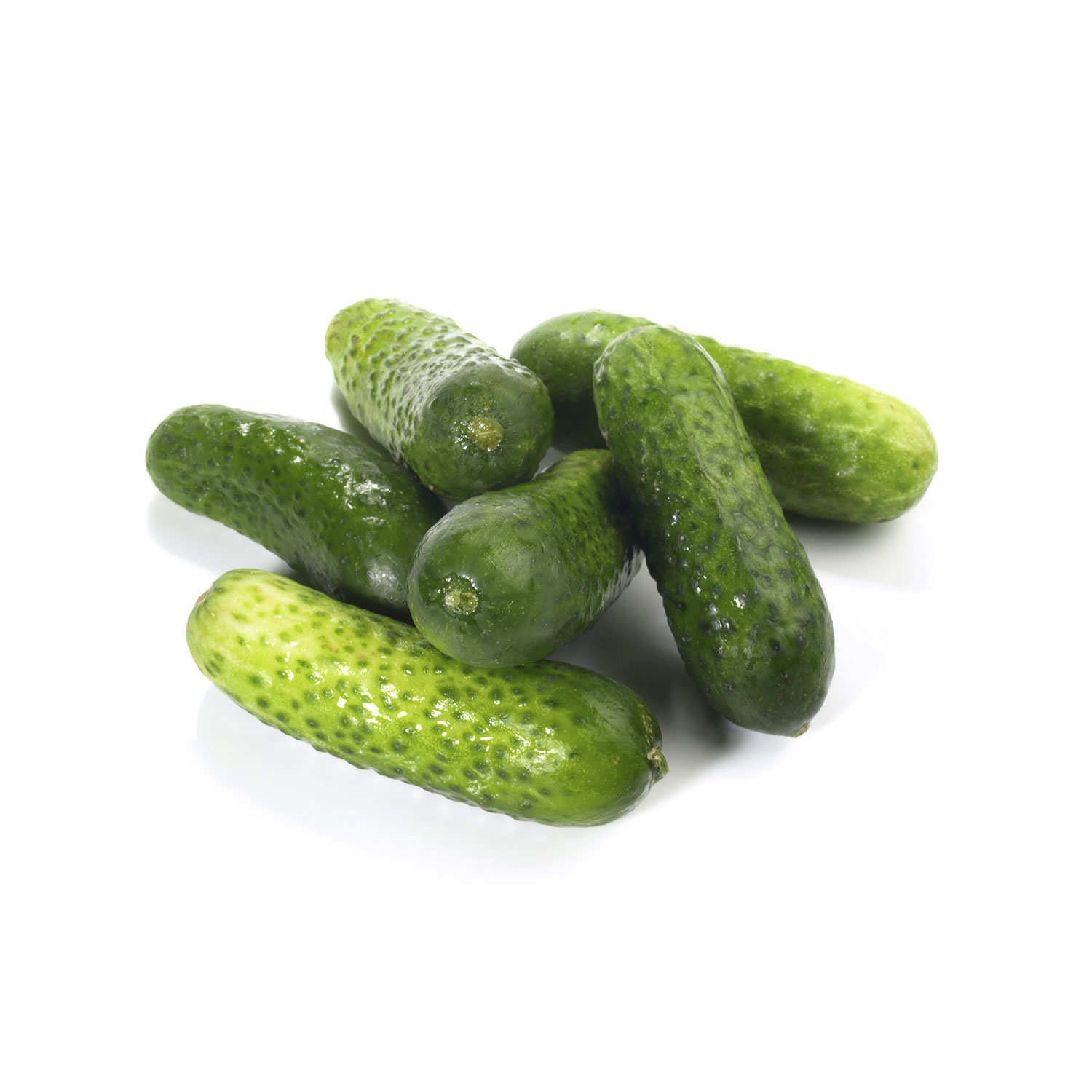 Organic fresh gherkins