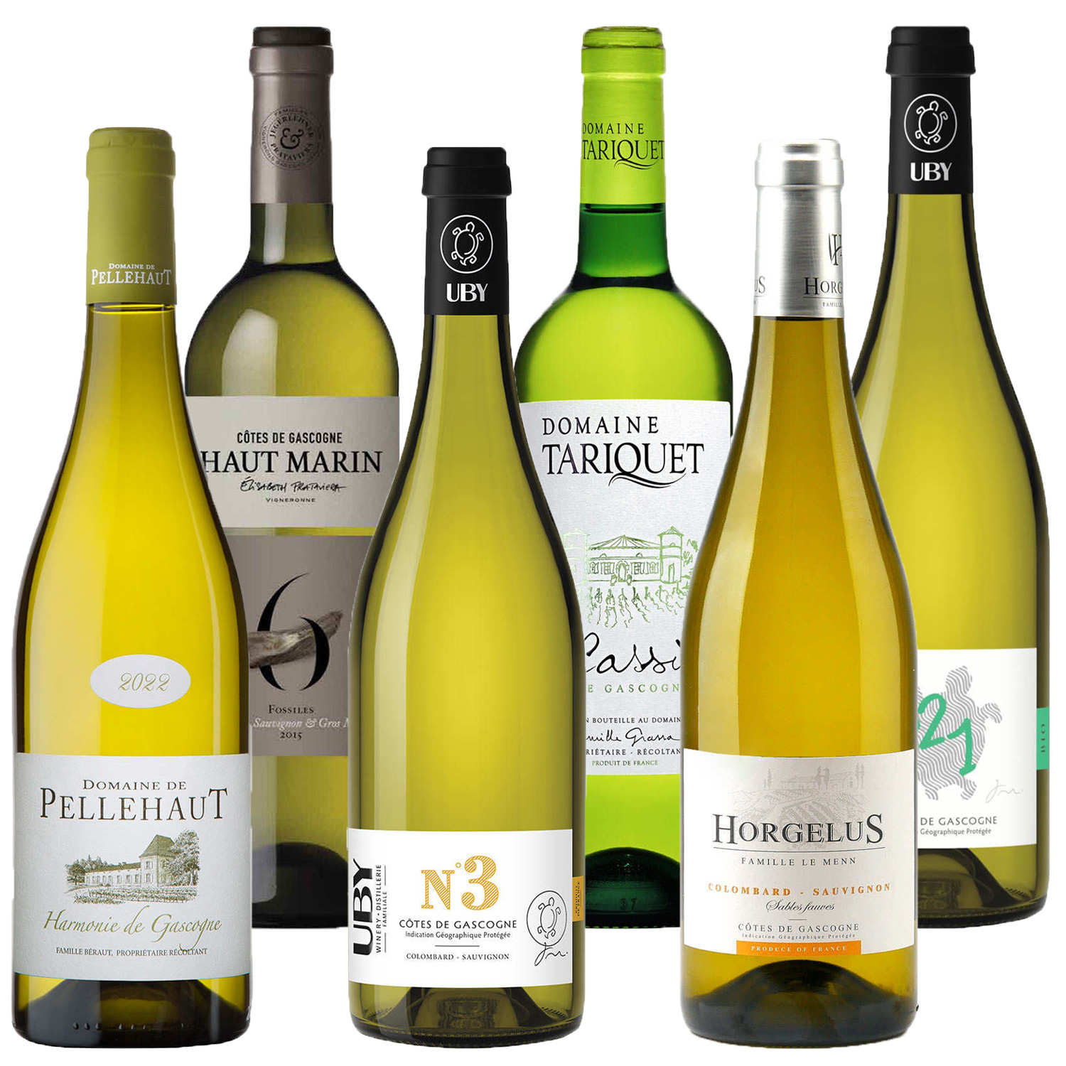 6 dry and fruity white wines from Gascony